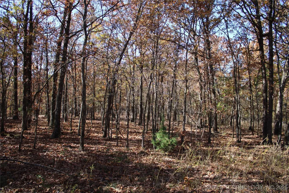18101 S 641 ROAD Wyandotte, OK 74370