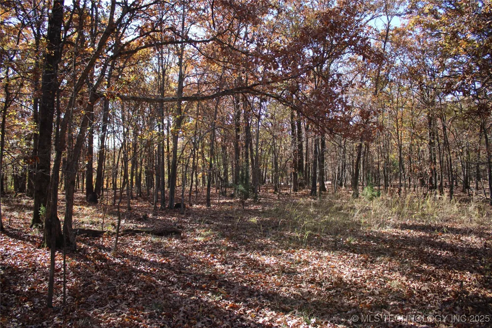 18101 S 641 ROAD Wyandotte, OK 74370