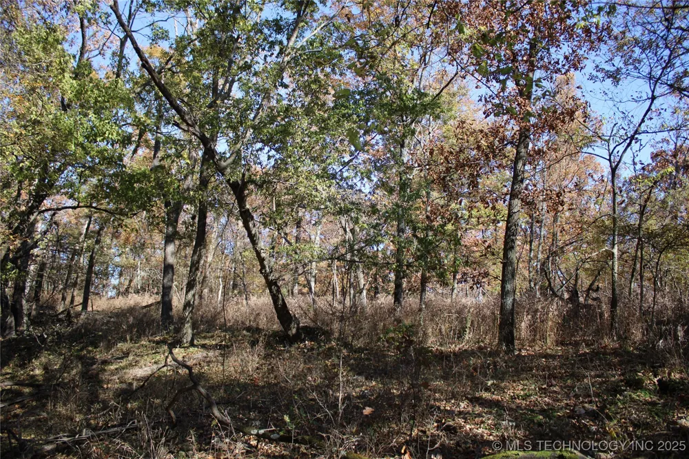 18101 S 641 ROAD Wyandotte, OK 74370