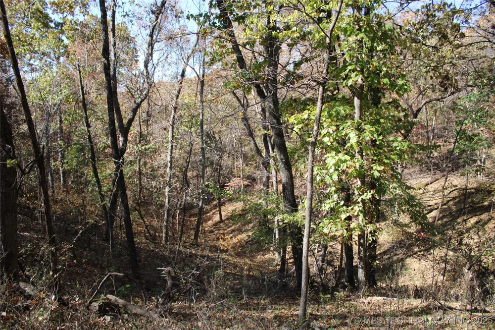 18101 S 641 ROAD Wyandotte, OK 74370