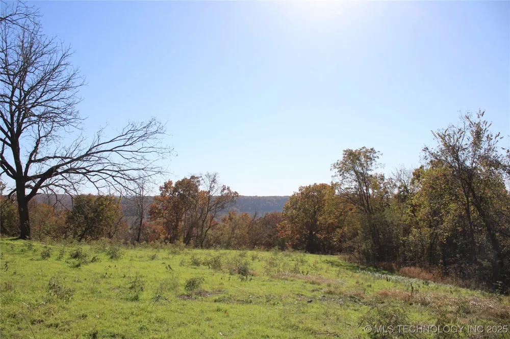 18101 S 641 ROAD Wyandotte, OK 74370