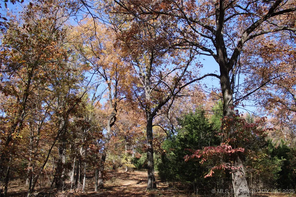 18101 S 641 ROAD Wyandotte, OK 74370