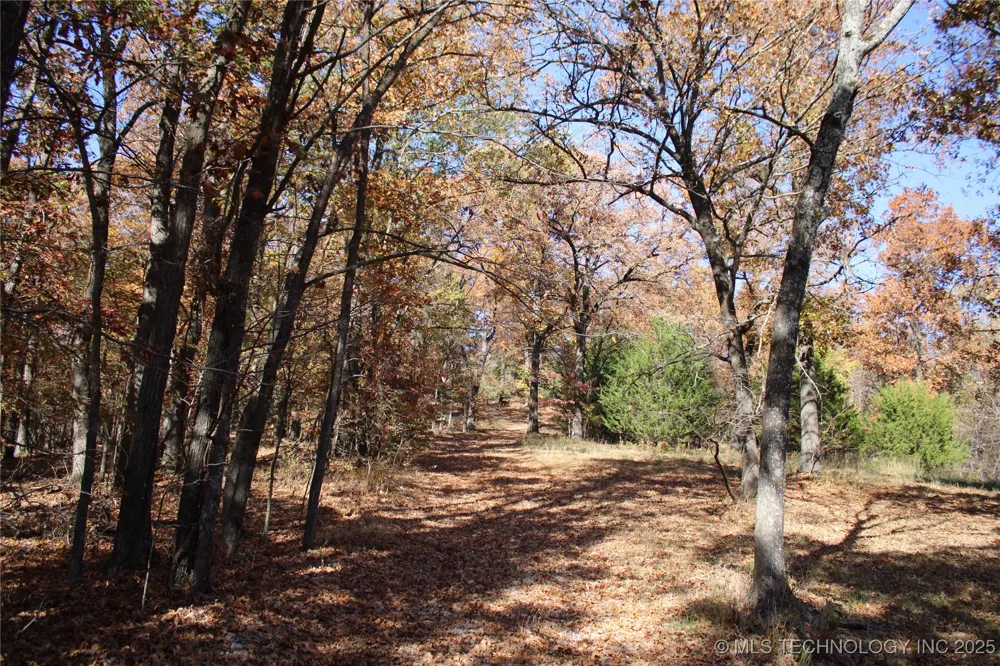 18101 S 641 ROAD Wyandotte, OK 74370