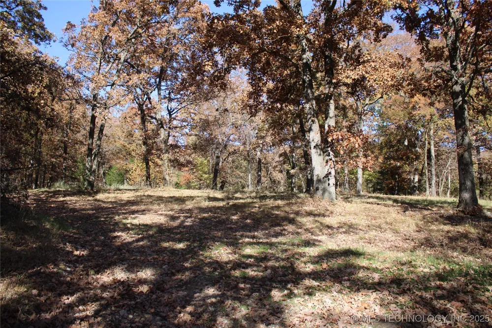 18101 S 641 ROAD Wyandotte, OK 74370
