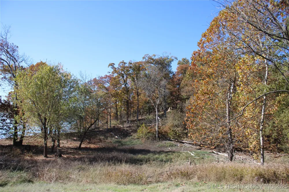 18101 S 641 ROAD Wyandotte, OK 74370