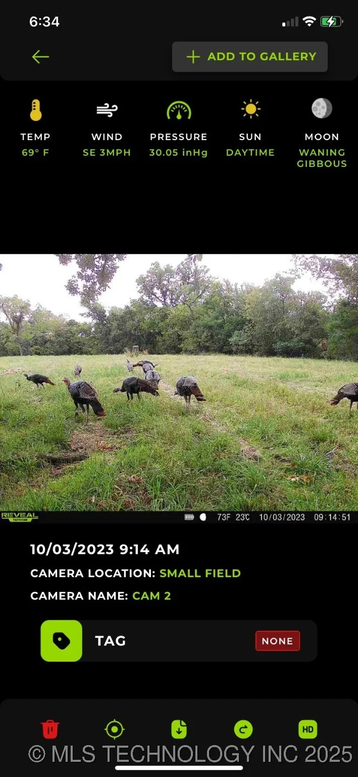 18101 S 641 ROAD Wyandotte, OK 74370
