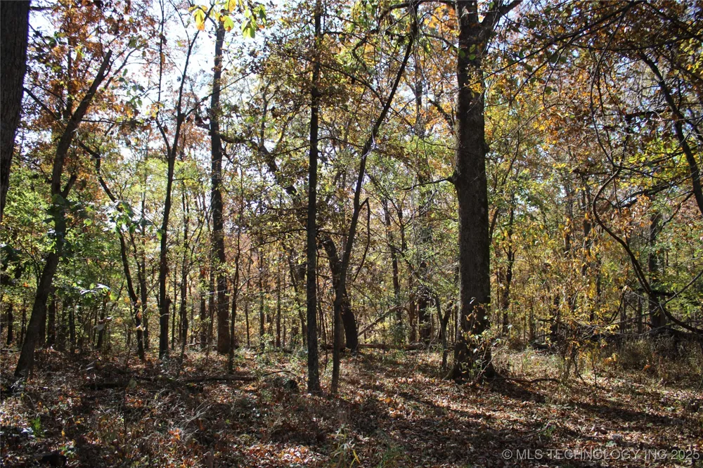 18101 S 641 ROAD Wyandotte, OK 74370