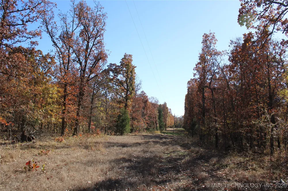 18101 S 641 ROAD Wyandotte, OK 74370
