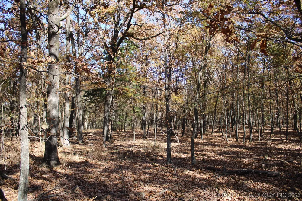 18101 S 641 ROAD Wyandotte, OK 74370