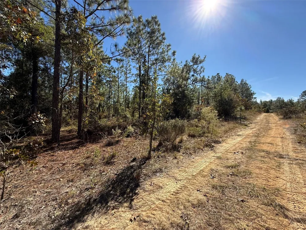 0 MONROE AVE LOT 12-17 Hawthorne, FL 32640