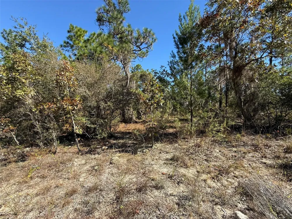 0 MONROE AVE LOT 12-17 Hawthorne, FL 32640