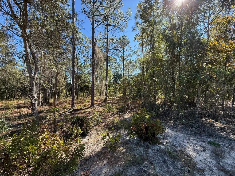 0 MONROE AVE LOT 12-17 Hawthorne, FL 32640