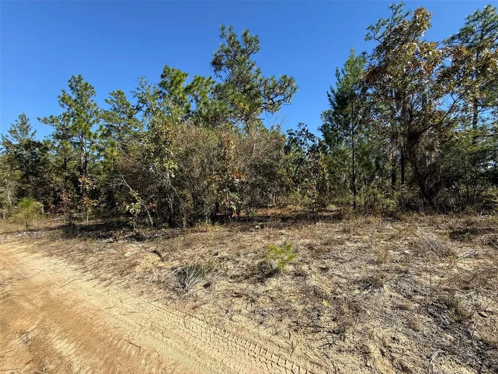 0 MONROE AVE LOT 12-17 Hawthorne, FL 32640