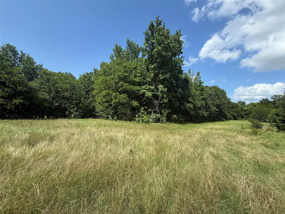 11591 Farm Road 269 S Pickton, TX 75471