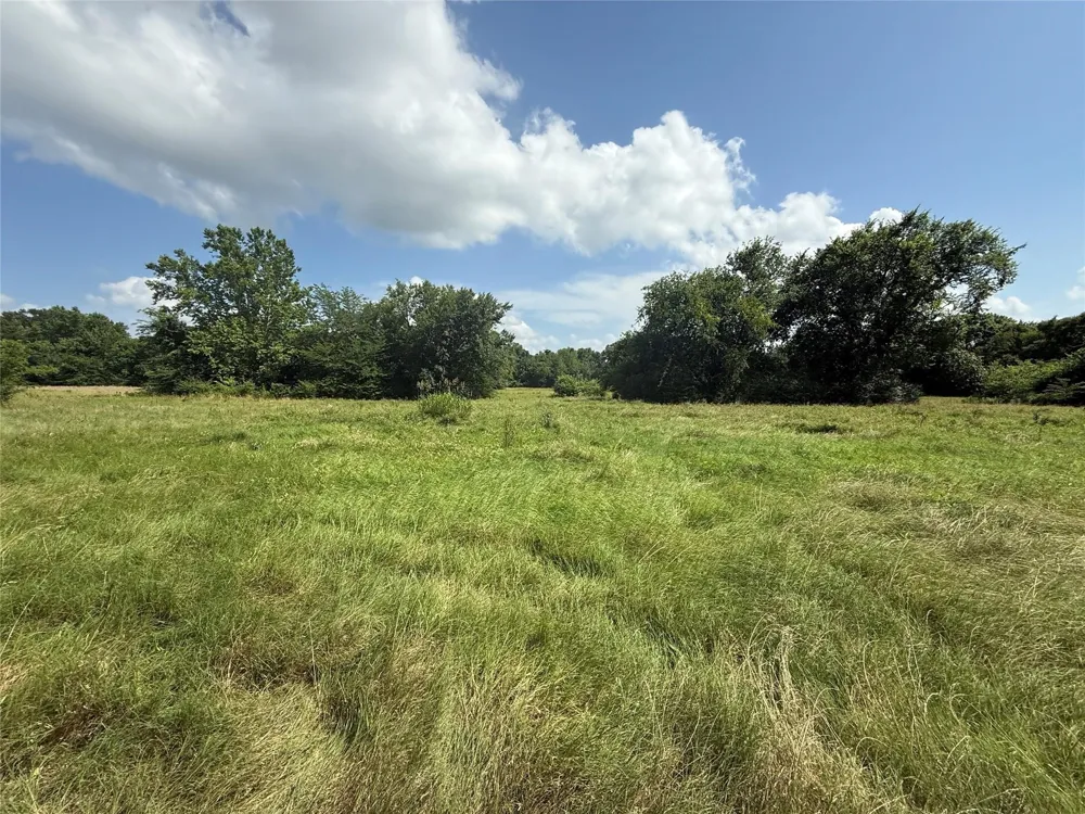 11591 Farm Road 269 S Pickton, TX 75471