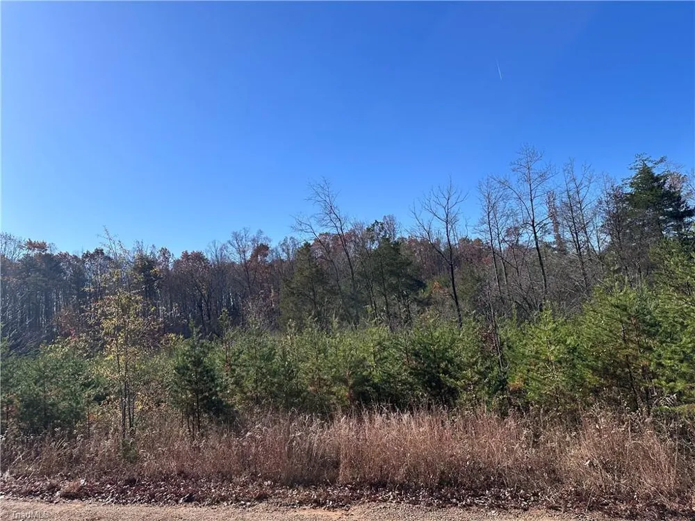 5 Stephens Trail Road Sandy Ridge, NC 27046