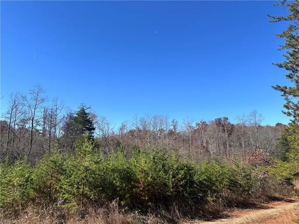 5 Stephens Trail Road Sandy Ridge, NC 27046
