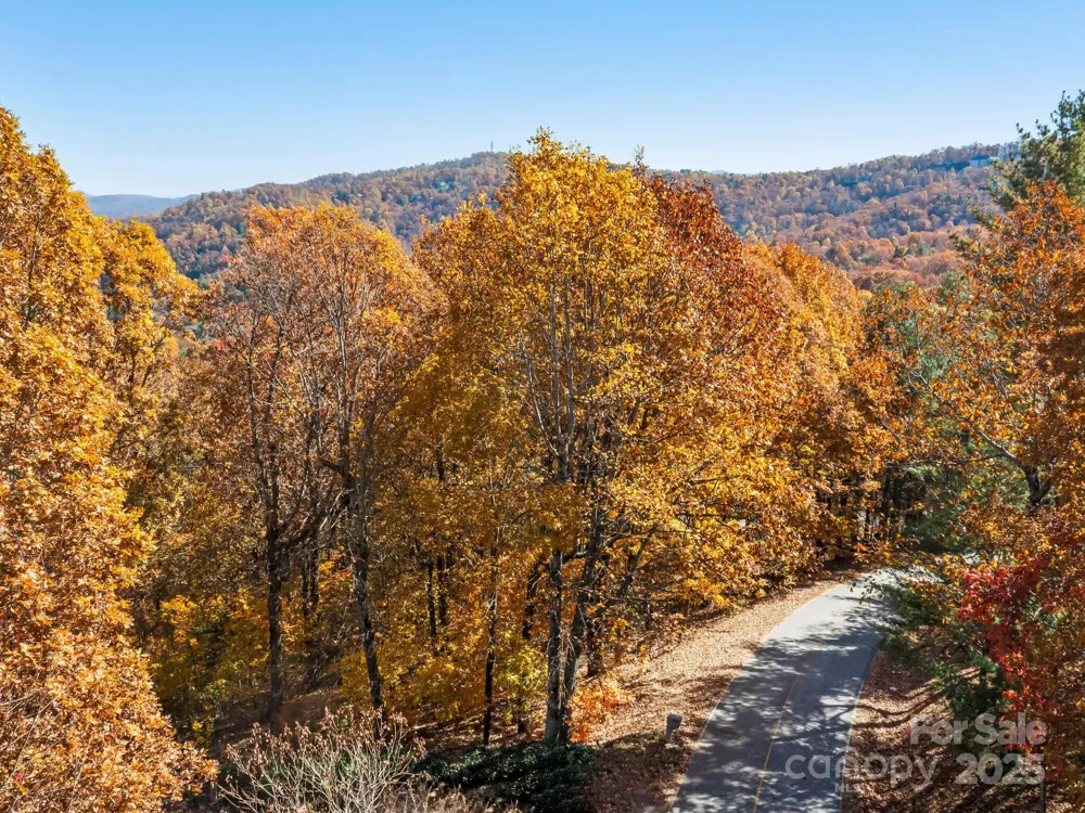 707 Overlook Drive Flat Rock, NC 28731