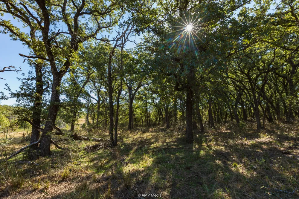 Pecan Valley Drive Gustine, TX 76455