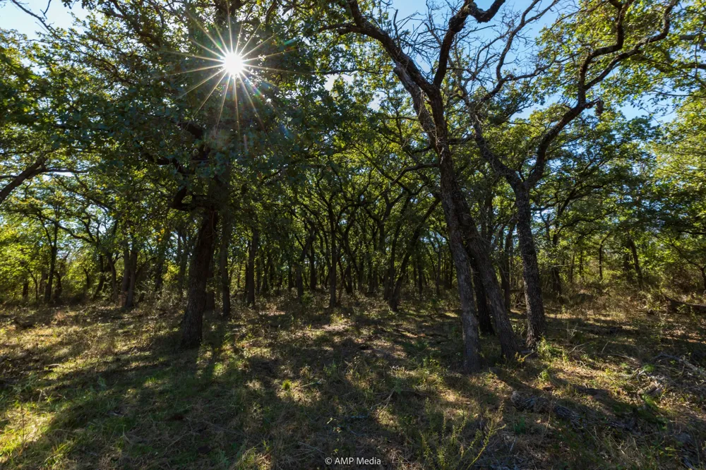 Pecan Valley Drive Gustine, TX 76455