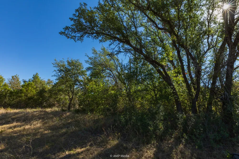 Pecan Valley Drive Gustine, TX 76455