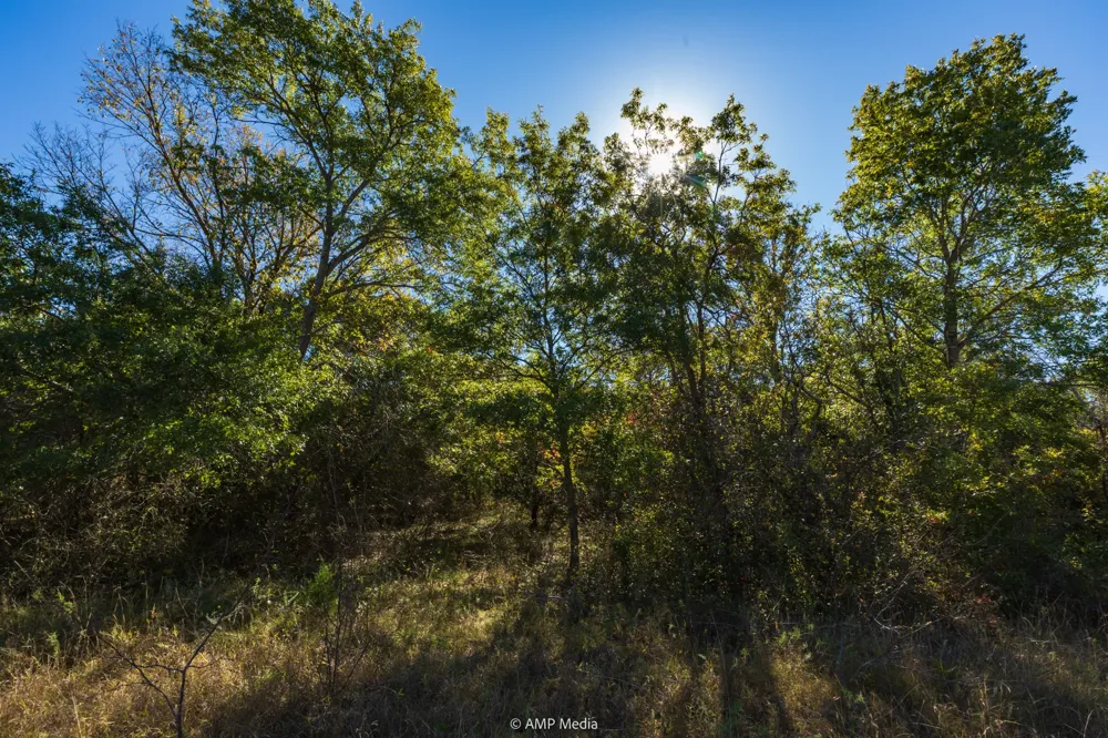 Pecan Valley Drive Gustine, TX 76455