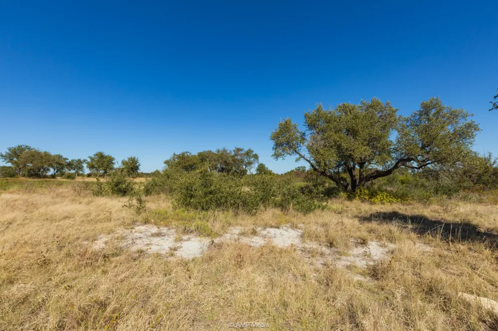 Pecan Valley Drive Gustine, TX 76455