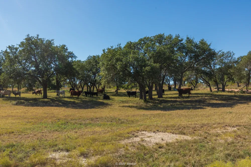 Pecan Valley Drive Gustine, TX 76455