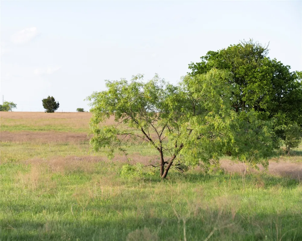 Rattler Hill Road McGregor, TX 76657