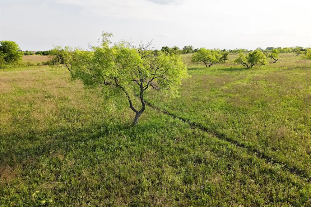 Rattler Hill Road McGregor, TX 76657