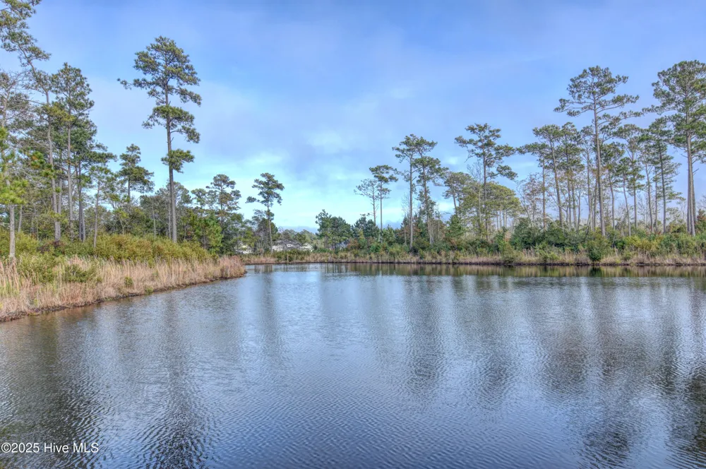 351 Landon Lane Sneads Ferry, NC 28460