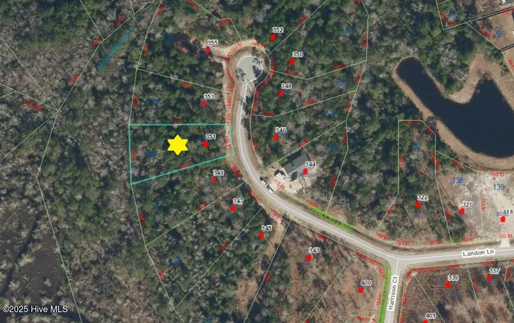 351 Landon Lane Sneads Ferry, NC 28460