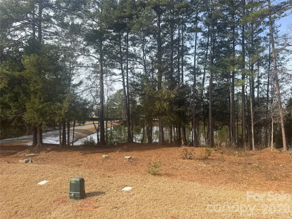 1043 Sweetleaf Drive Indian Land, SC 29707
