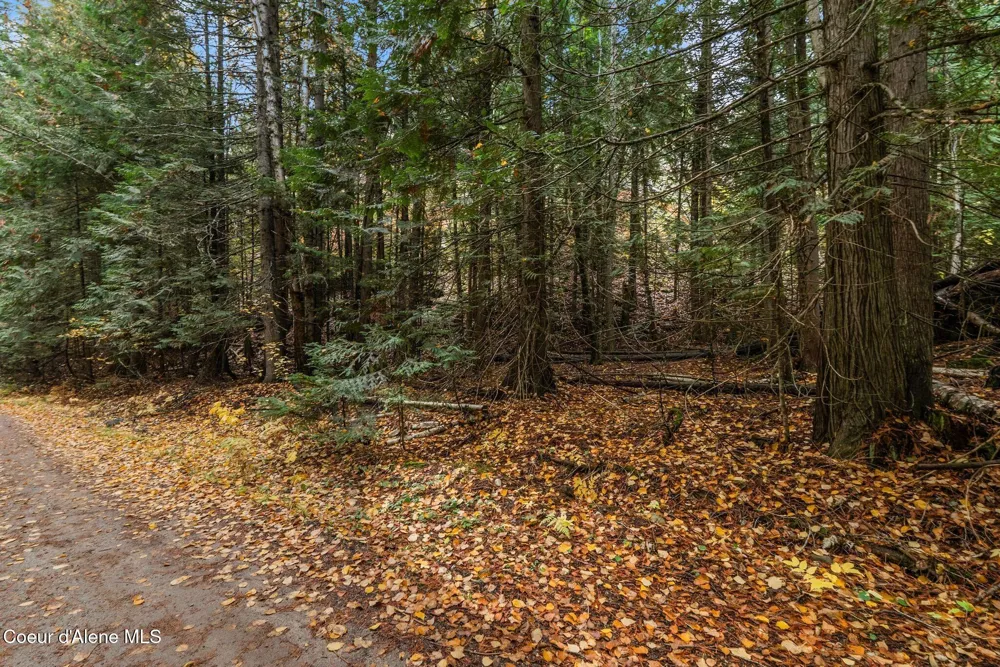 NNA Rogers Rd Sandpoint, ID 83864