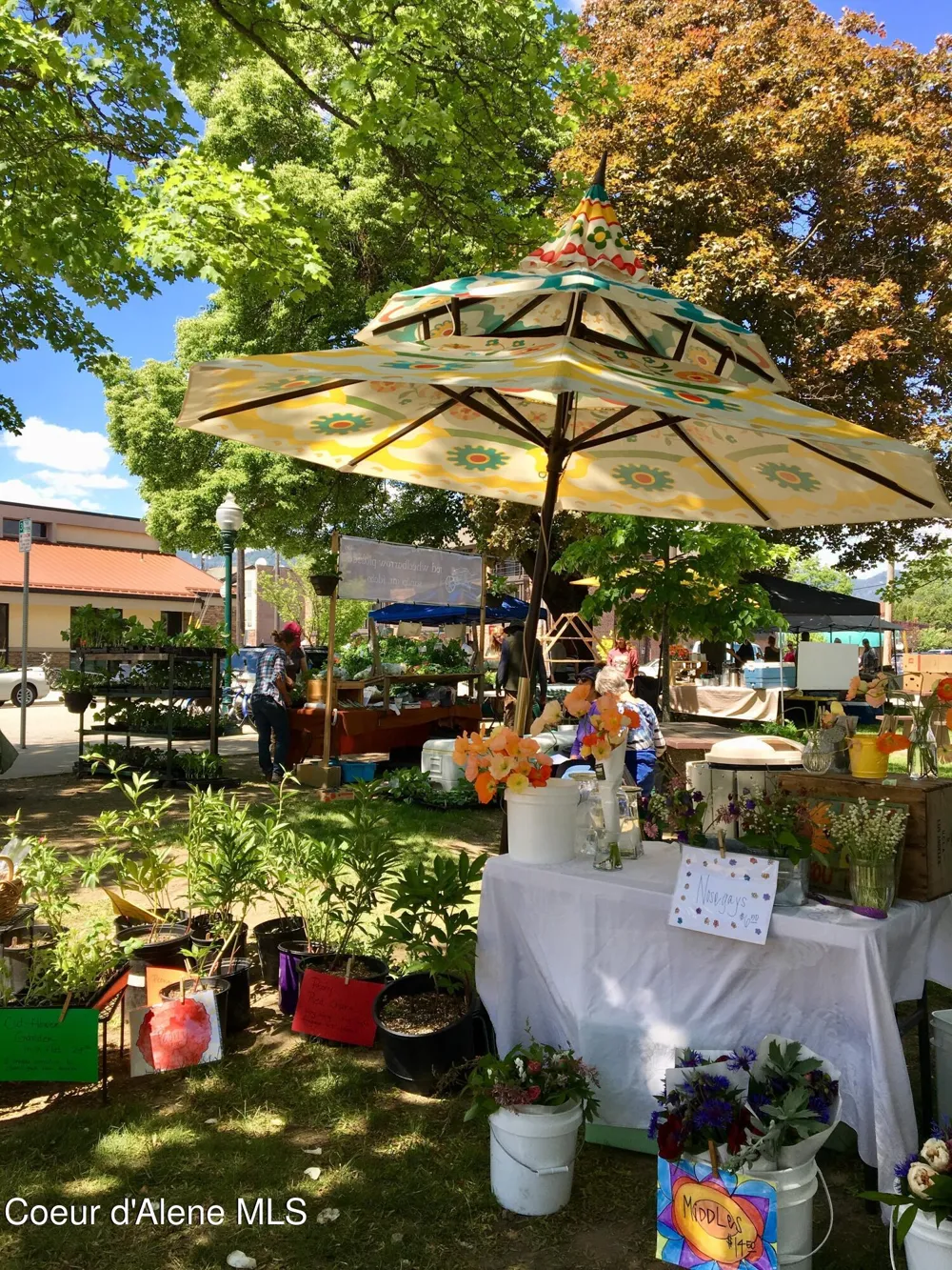 NNA Rogers Rd Sandpoint, ID 83864
