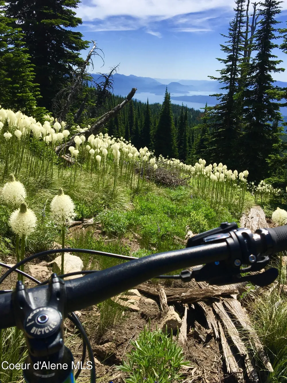 NNA Rogers Rd Sandpoint, ID 83864