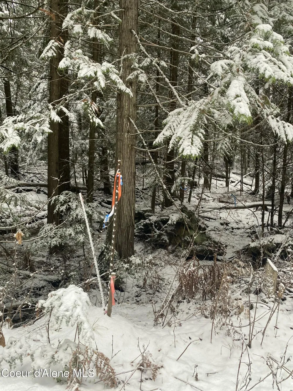NNA Rogers Rd Sandpoint, ID 83864