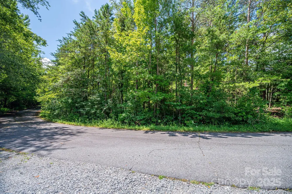 Lot 40 Line Drive Forest City, NC 28043