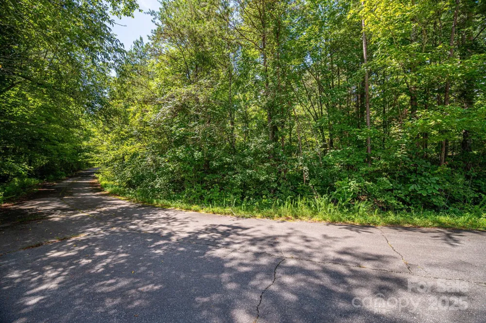 Lot 40 Line Drive Forest City, NC 28043