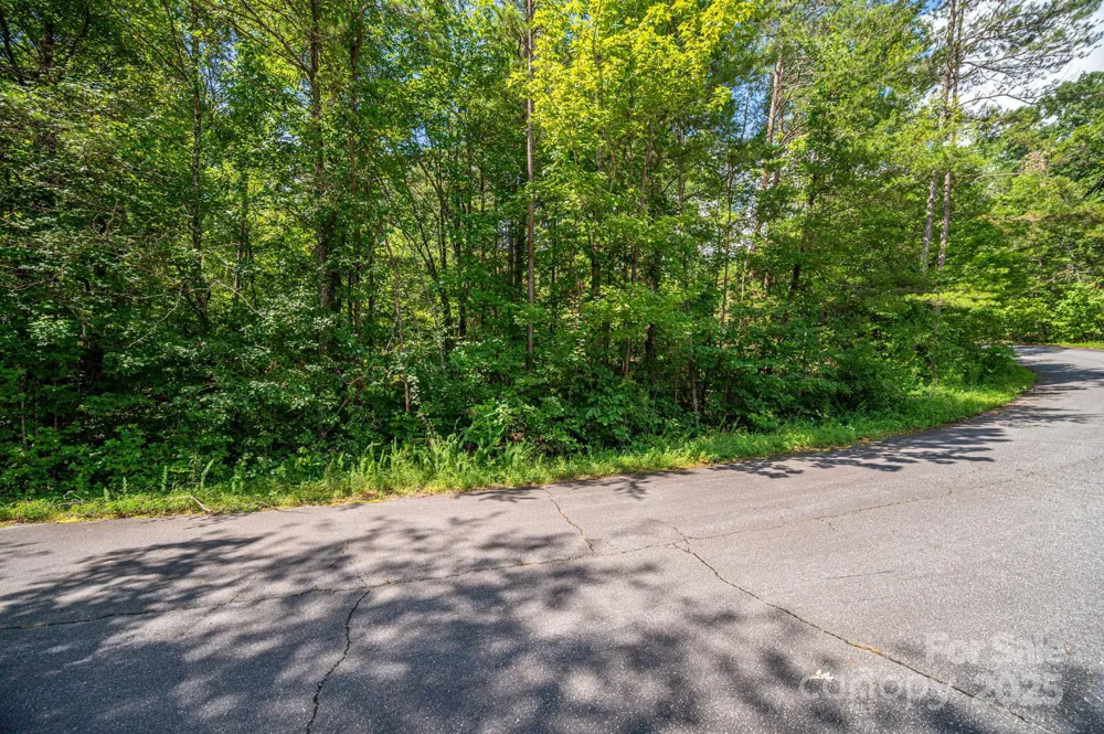 Lot 40 Line Drive Forest City, NC 28043