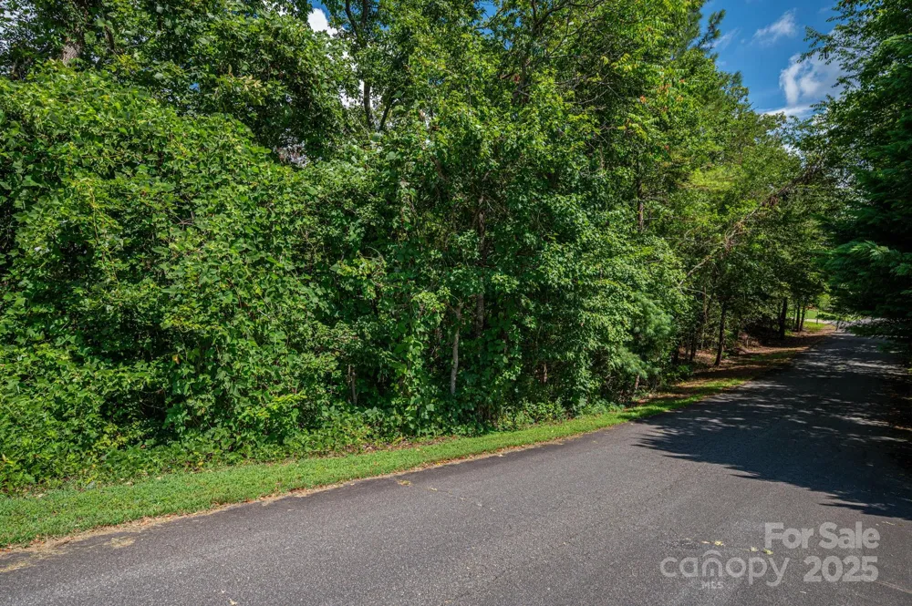 Lot 25 Line Drive Forest City, NC 28043