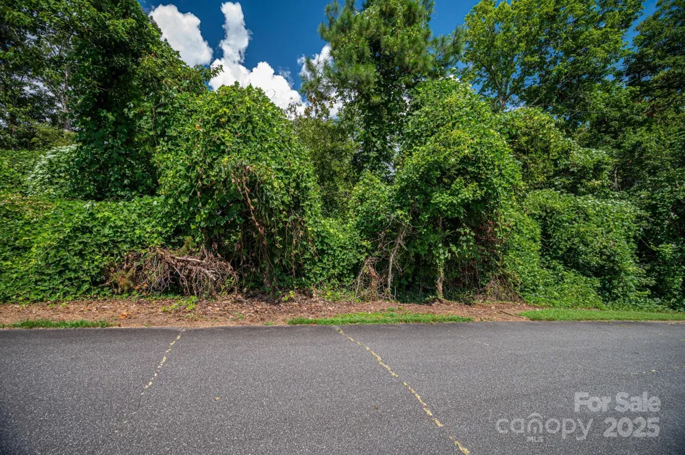 Lot 25 Line Drive Forest City, NC 28043