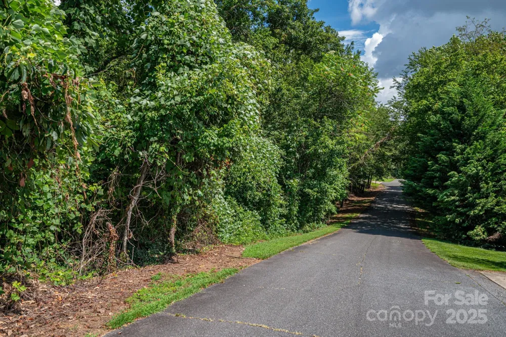 Lot 25 Line Drive Forest City, NC 28043