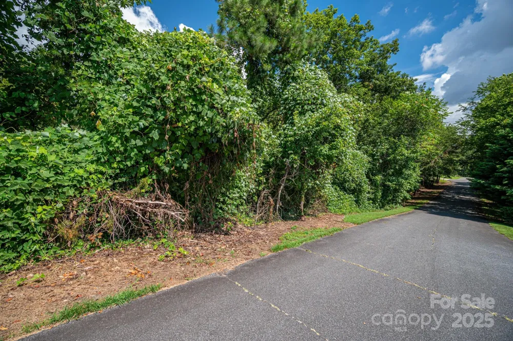 Lot 25 Line Drive Forest City, NC 28043
