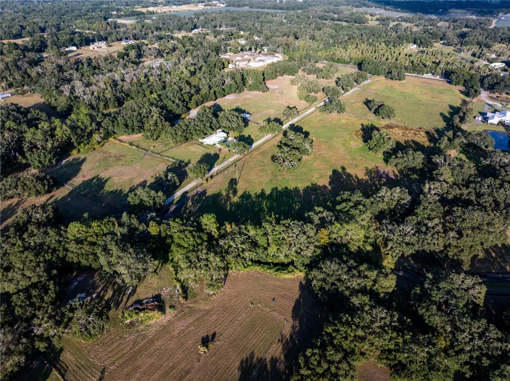 12537 TOMAR DRIVE Thonotosassa, FL 33592