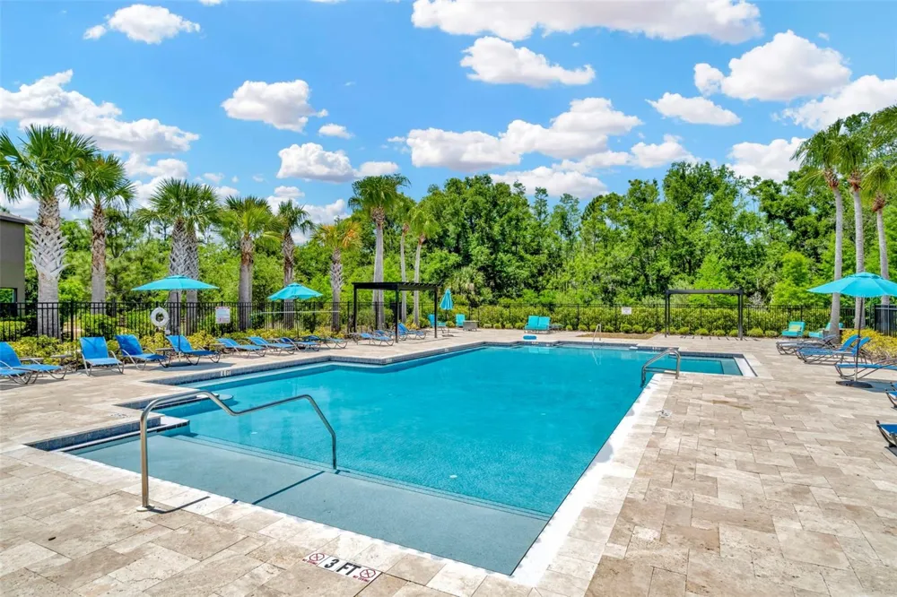 28516 TRANQUIL LAKE CIRCLE Wesley Chapel, FL 33543