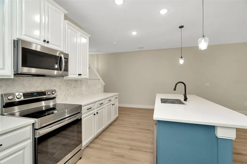 28516 TRANQUIL LAKE CIRCLE Wesley Chapel, FL 33543