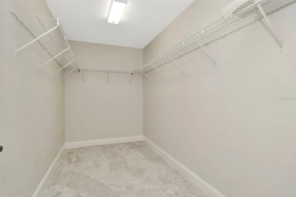 28516 TRANQUIL LAKE CIRCLE Wesley Chapel, FL 33543