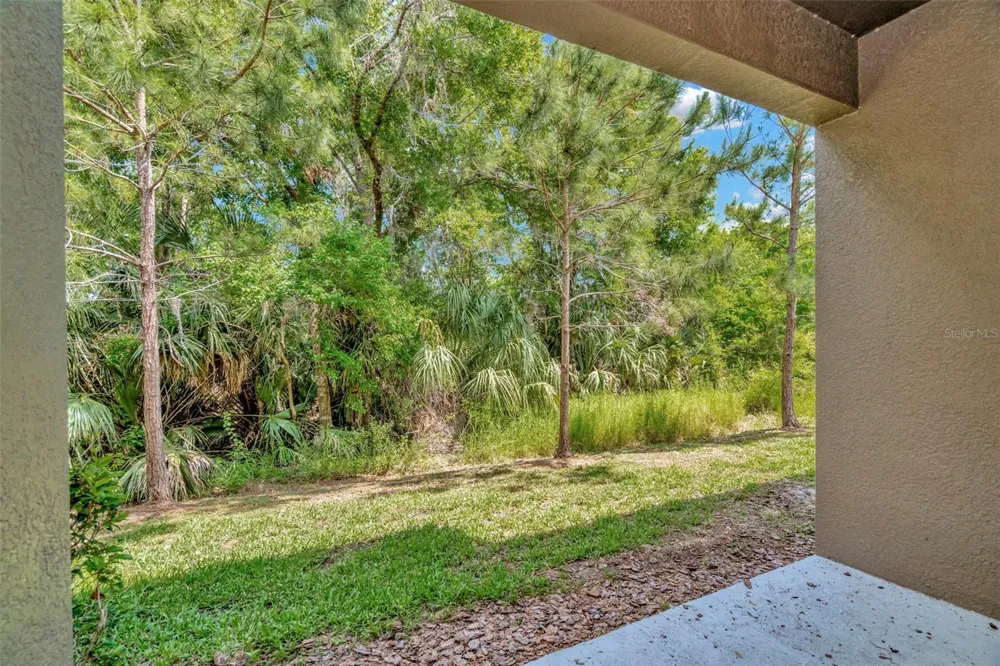 28516 TRANQUIL LAKE CIRCLE Wesley Chapel, FL 33543
