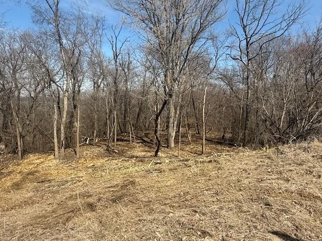 328 Limestone Road Cannon Falls, MN 55009
